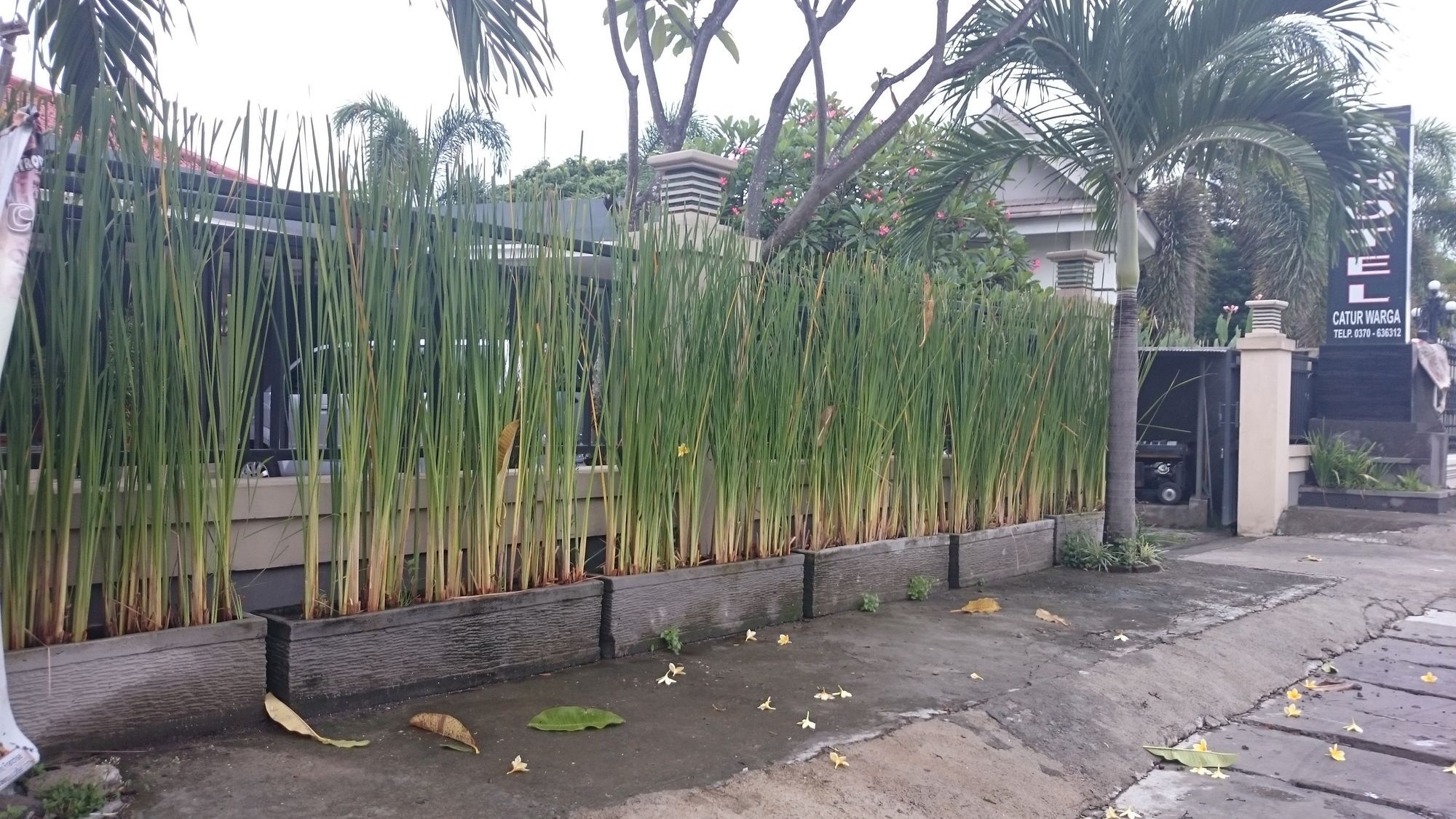 Hotel Catur Warga Mataram Esterno foto